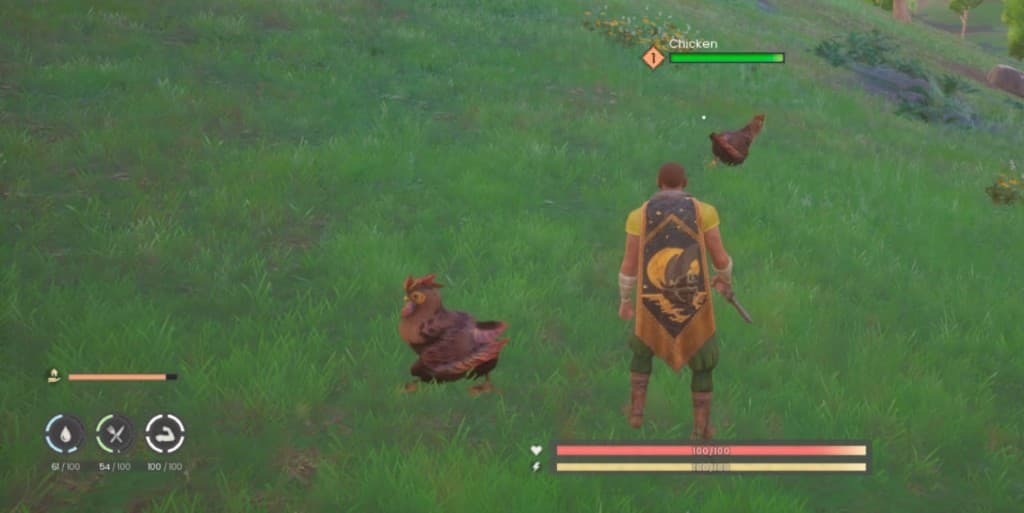 Chickens in the starter area