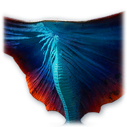 Skyray