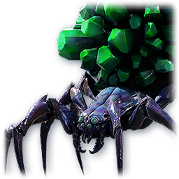 Spider