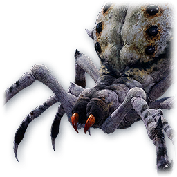 Ashen Spider