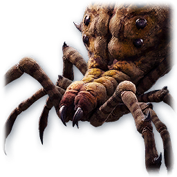 Withered Branch Spider