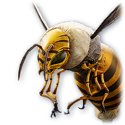 Aberrant Bee