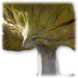 Aberrant Coradon