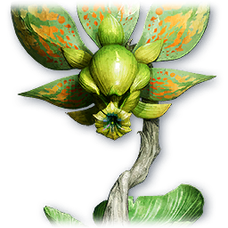 Forest Dionae